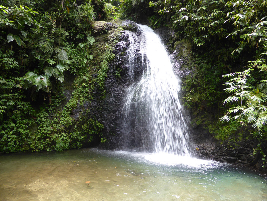 Cascade Leaping Gendarme